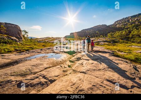 Norwegen, Rogaland, Ryfylke, Lysefjord (Lysebotn Fjord), auf dem Wanderweg, der zum Preikestolen (Felsen des Stuhls) führt, der den Fjord für 600m überblickt, ist es die beliebteste Wanderung in der Region Stavanger Stockfoto