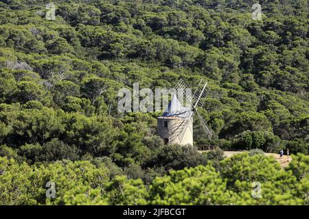 Frankreich, Var, Iles d'Hyeres, Nationalpark Port Cros, ile de Porquerolles, Le Moulin du Bonheur Stockfoto