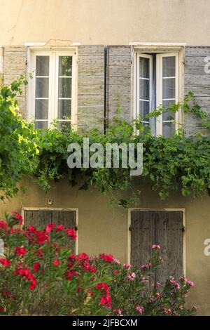 Frankreich, Drome, regionaler Naturpark von Baronnies Provençales, Buis les Baronnies Stockfoto