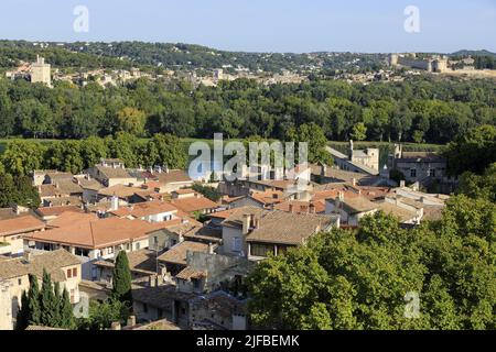 Frankreich, Vaucluse, Avignon, Blick über die Dächer, die Rhone und Villeneuve les Avignon im Hintergrund Stockfoto