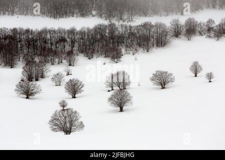 Frankreich, Aveyron, Landschaft des regionalen Naturparks Aubrac Stockfoto