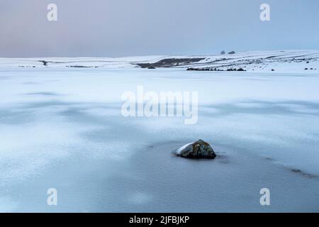 Frankreich, Aveyron, Landschaft des regionalen Naturparks Aubrac, Lac des Moines Stockfoto