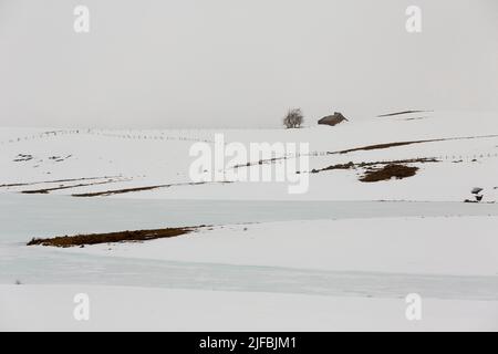 Frankreich, Aveyron, Landschaft des regionalen Naturparks Aubrac, Lac des Moines Stockfoto