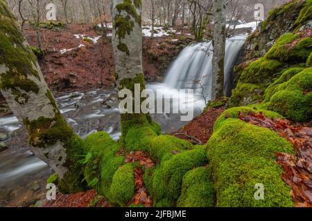 Frankreich, Aveyron, Landschaft des regionalen Naturparks Aubrac, Wasserfall Stockfoto