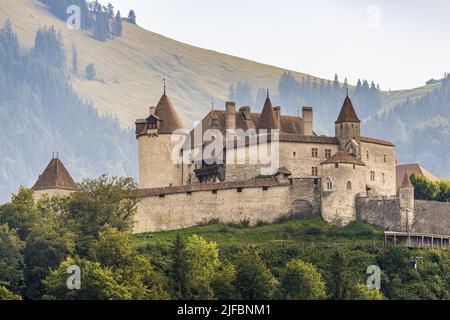 Schweiz, Kanton Friborg, Gruyères, mittelalterliche Stadt, das Schloss Stockfoto