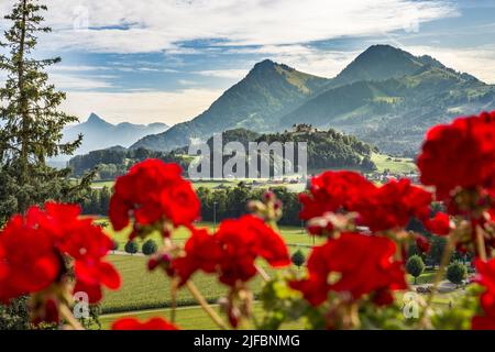 Schweiz, Kanton Friborg, Gruyères, mittelalterliche Stadt, das Schloss Stockfoto