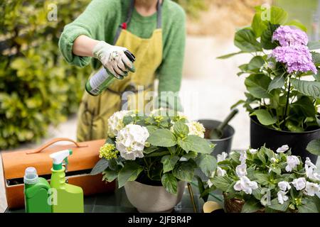 Junge Frau, die sich im Garten um Blumen kümmert Stockfoto