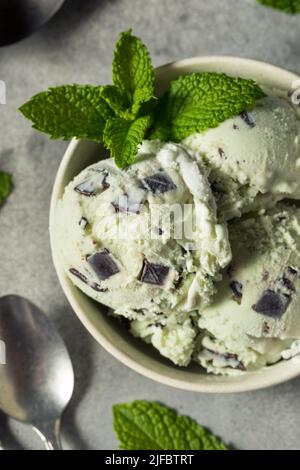 Hausgemachte grüne Minze Schokolade Chip Eis in einer Schüssel Stockfoto