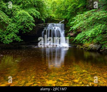Die atemberaubenden Cauldron Falls, auch bekannt als West Burton Falls im Dorf West Burton in den Yorkshire Dales, Großbritannien. Stockfoto