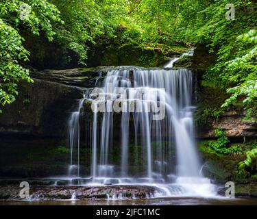Die atemberaubenden Cauldron Falls, auch bekannt als West Burton Falls im Dorf West Burton in den Yorkshire Dales, Großbritannien. Stockfoto
