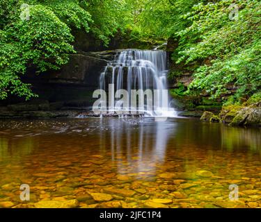 Die atemberaubenden Cauldron Falls, auch bekannt als West Burton Falls im Dorf West Burton in den Yorkshire Dales, Großbritannien. Stockfoto