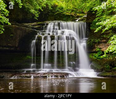 Die atemberaubenden Cauldron Falls, auch bekannt als West Burton Falls im Dorf West Burton in den Yorkshire Dales, Großbritannien. Stockfoto