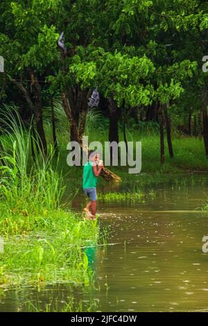 Das Hochwasser wird das Inselgebiet des Zajira-Flussufers beeinträchtigen. Dieses Bild wurde am 2022-06-18 aus Zajira, Bangladesch, Südasien, aufgenommen Stockfoto