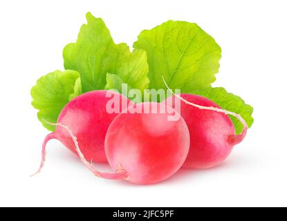 Frische rote Radieschen mit isolierten Blättern auf weißem Hintergrund Stockfoto