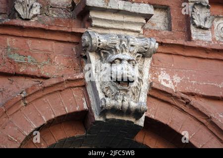 Kiew, Ukraine 2. Januar 2021: Künstlerische Dekoration der Fassade von Gebäuden mit Bildern von Tieren im Zentrum von Kiew Stockfoto