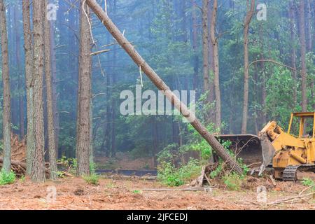 Da Bäume während des Prozesses der Rodung von Land für den Bau von Häusern in der neuen Unterteilung entwurzelt und entwaldet werden Stockfoto