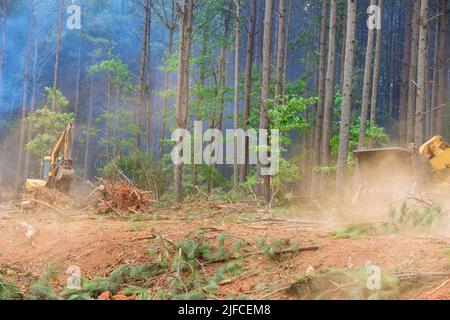 Während der Entwurzelung von Bäumen und der Entwaldung arbeitet ein Traktor an der Vorbereitung auf die Reinigung von Land für den Hausbau Stockfoto