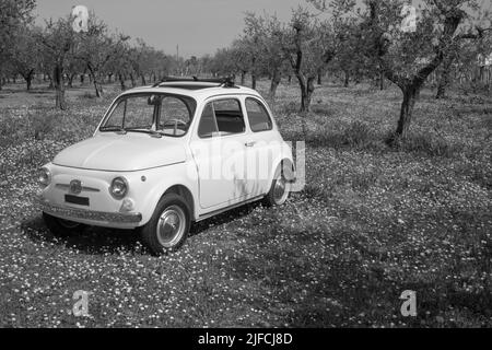 Bild eines alten italienischen Fiat 500 Autos, der auf einer blühenden Wiese geparkt ist. Schwarzweißfotos. Stockfoto