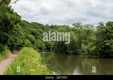 Allgemeiner Blick auf den Fluss Avon in Richtung Bath, der an einem sonnigen Sommertag durch den Conham River Park im Osten von Bristol führt. Stockfoto