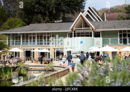 Gesamtansicht des Cafés und Restaurants des Botanischen Gartens Ventnor auf der Isle of Wight. Stockfoto