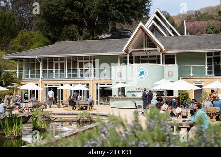 Gesamtansicht des Cafés und Restaurants des Botanischen Gartens Ventnor auf der Isle of Wight. Stockfoto