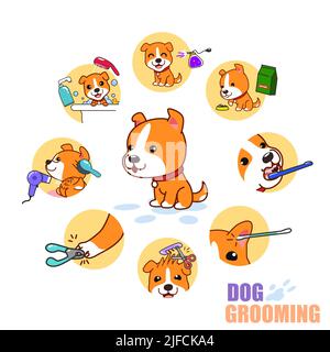 Eine Vektordarstellung von Cartoon Dog Grooming Icons Stock Vektor