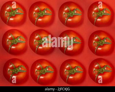 Tomate auf farbigem Papier. Gewächshaus-Tomate auf rotem Hintergrund. Heller Gemüsehintergrund. Stockfoto