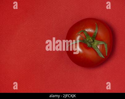 Tomate auf farbigem Papier. Gewächshaus-Tomate auf rotem Hintergrund. Heller Gemüsehintergrund. Stockfoto