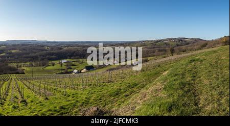 Vue panoramique sur les vignobles de la vallée de la Vézère Stockfoto