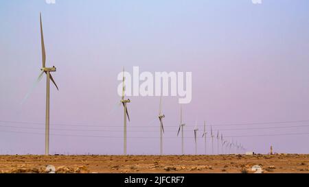 Boujdour, Marokko - 18. Juni 2022 : Windkraftanlagen im Park von Boujdour in Marokko Stockfoto