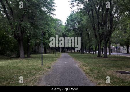 Pfad von Pappeln in einem Park begrenzt Stockfoto