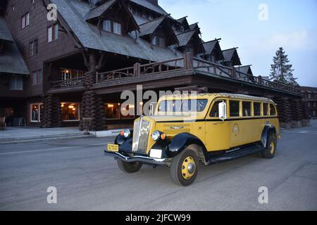 Yellowstone-Nationalpark. USA. 5/21-26/2022. Vintage 1936 White Touring Car (Jammer-Spitzname); Modell 706, 12 Sitze. Yellowstone Park #413. Stockfoto