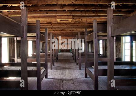 Die natürliche Beleuchtung macht das Innere der westlichen Militärbaracken mit Gewehrracks, Etagenbetten und Bodenbrettern in Fort Richardson, in der Nähe von Jacksboro, Texas, zugänglich. Stockfoto