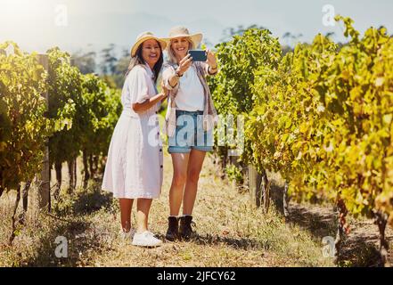 Die ganze Länge von zwei glücklichen Freunden, die Selfies auf einem Handy in einem Weinberg machen. Lächelnde Frauen stehen zusammen und verbinden sich während eines Tages auf einer Weinfarm Stockfoto