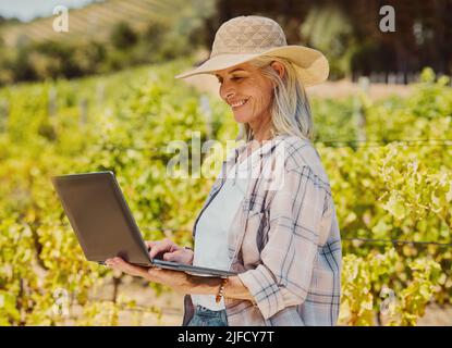 Eine lächelnde ältere Farmerin hält und benutzt einen Laptop auf ihrem Weinberg. Glückliche ältere kaukasische Frau, die im Internet um ihre Ernten und Produkte surft Stockfoto