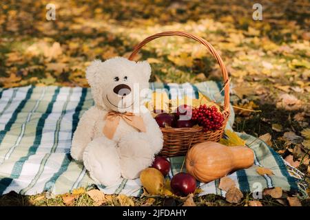 Auf der Decke im Käfig liegt ein Teddybär und Herbstfrüchte Stockfoto