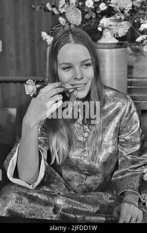 MAMASA UND DIE PAPAS US ro k Group mit Michelle Phillips im Oktober 1967. Foto: Tony Gale Stockfoto