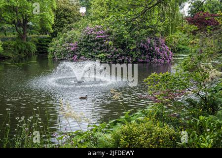 The Dingle in the Quarry Park, Shrewsbury, Shropshire Stockfoto