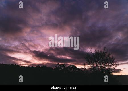 Weitwinkelansicht des purpurnen Sonnenuntergangs über den Bergen mit Silhouetten von Bäumen, die im Winter in Tasmanien aufgenommen wurden Stockfoto