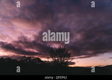 Weitwinkelansicht des purpurnen Sonnenuntergangs über den Bergen mit Silhouetten von Bäumen, die im Winter in Tasmanien aufgenommen wurden Stockfoto