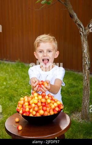 Ein sechsjähriger Junge steht auf einem grünen Rasen und spielt mit Kirschen. Sonniger Tag, grüner Rasen. Der blonde Junge schwelgt in Kirschen. Das Kind behandelt Kirschen. Stockfoto