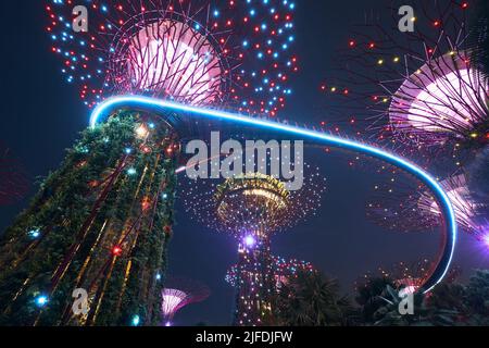Singapur - 26. Juni 2022: Beleuchtete supertrees mit Skywalk während der abendlichen Farblichtshow in Gardens by the Bay in Singapur. Stockfoto