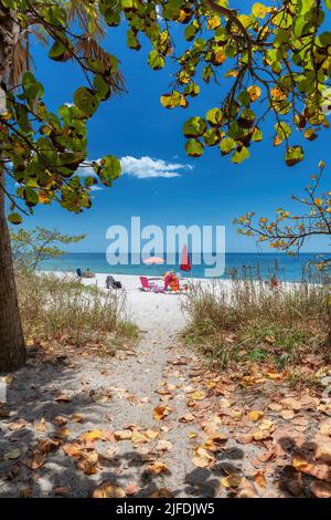 Sonniger tropischer Strand. Der Weg zum wunderschönen weißen Sandstrand in Naples Beach, Florida, USA Stockfoto