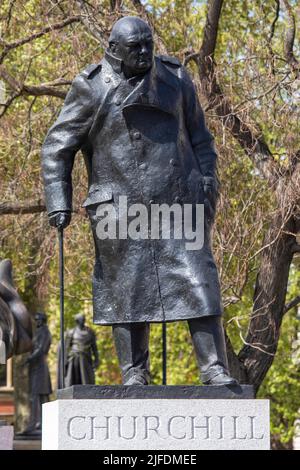 London, Großbritannien - 20. 2022. April: Statue des ehemaligen britischen Premierministers Sir Winston Churchill, auf dem Parliament Square in London, Großbritannien. Stockfoto