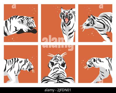 Hand gezeichnet Vektor abstrakt Grafik Cartoon Illustrationen Karten Set Vorlage mit Schönheit niedlich himmlisch trendy Tierwelt weißen Mond Tiger, Mond und Stock Vektor