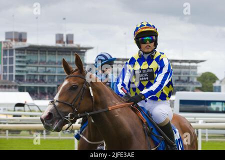 Jockey Jessica Bedi auf Tiger Jet bei York Races. Stockfoto