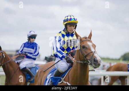 Jockey Jessica Bedi auf Tiger Jet bei York Races. Stockfoto