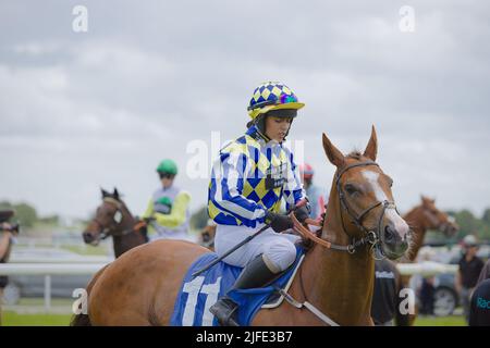 Jockey Jessica Bedi auf Tiger Jet bei York Races. Stockfoto