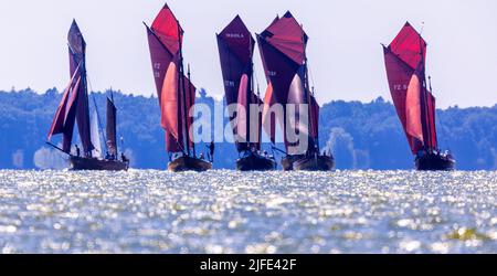 Wustrow, Deutschland. 02.. Juli 2022. Auf dem Saaler Bodden segeln die Zeesen-Boote nach dem Start der Wustrower Zeesbootregatta 36. zur ersten Tacking Boje. Etwa 40 Boote mit den markanten braunen Segeln nehmen an dem Spektakel Teil. Das Rennen ist der Beginn der diesjährigen Regatta-Saison für die ehemaligen Fischerboote. Quelle: Jens Büttner/dpa/Alamy Live News Stockfoto