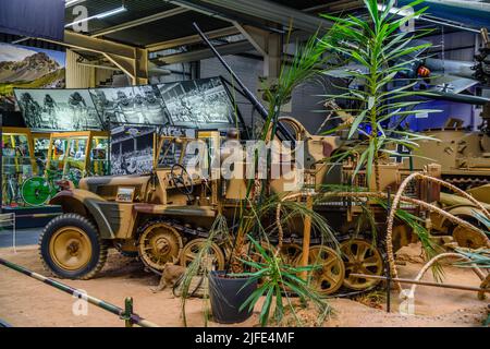 SINSHEIM, DEUTSCHLAND - MAI 2022: Military Demag SD.Kfz. 10 Sonderkraftfahrzeug Sondermotorfahrzeug WW2 1939 100ps mit Kanon 3. reich nazi-Deutschland Stockfoto